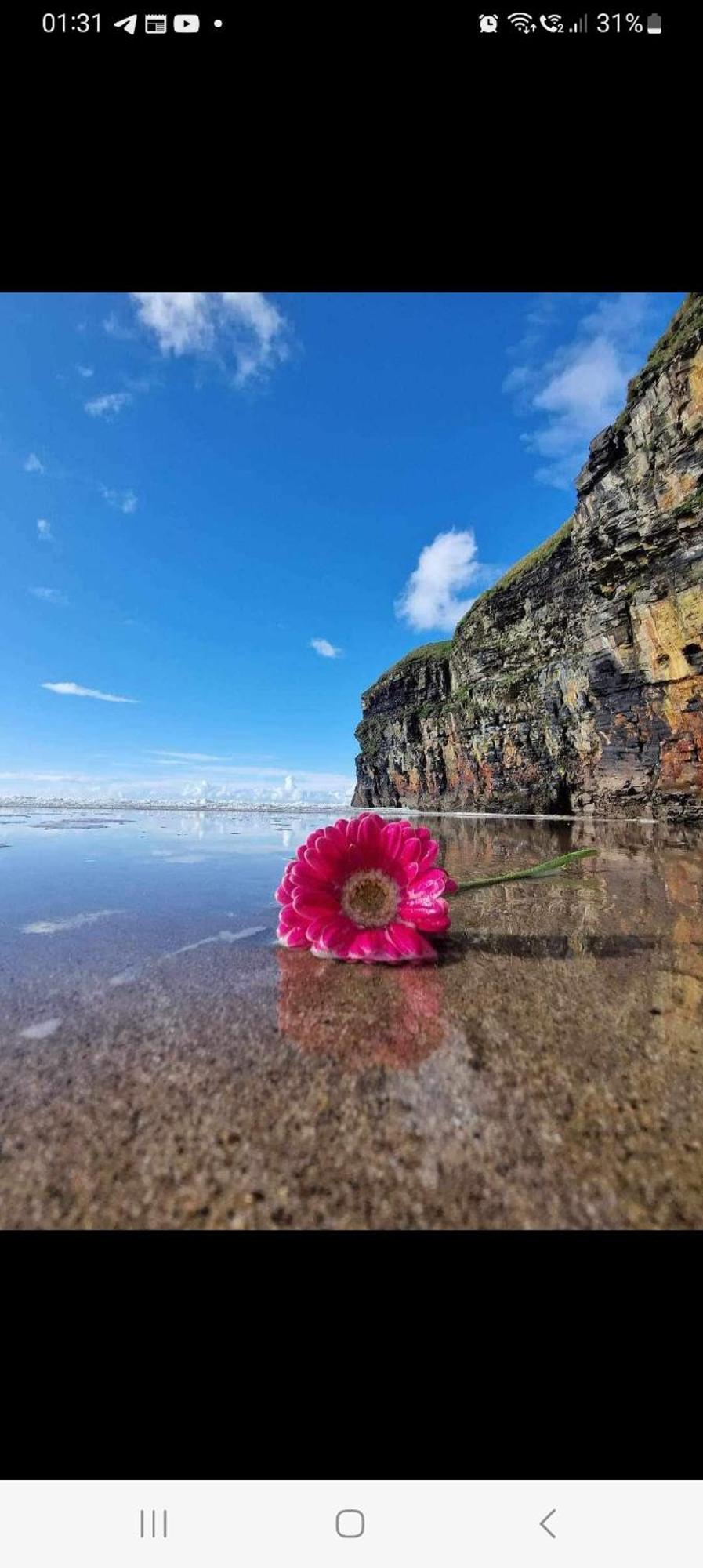 Luxury Holiday Rental With Sea Views On The Wild Atlantic Way ทราลี ภายนอก รูปภาพ